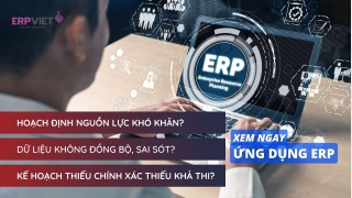 Ứng dụng ERP là gì? Ứng dụng ERP trong quản lý doanh nghiệp tại Việt Nam như thế nào?