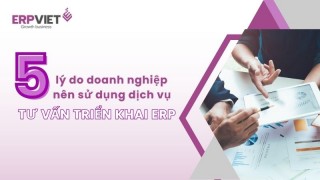 5 lý do doanh nghiệp nên sử dụng dịch vụ tư vấn triển khai ERP