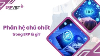 Các phân hệ chủ chốt trong ERP là gì?