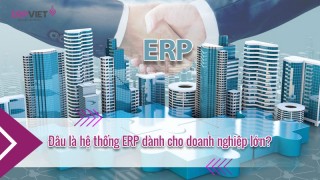 Đâu là hệ thống ERP dành cho doanh nghiệp lớn?
