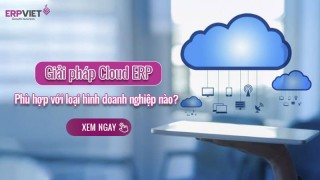 Giải pháp Cloud ERP phù hợp với loại hình doanh nghiệp nào?