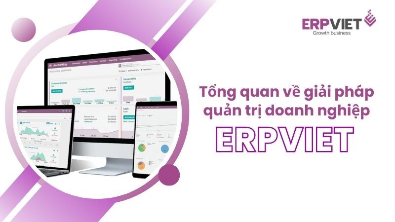 Giới thiệu tổng quan về giải pháp quản trị doanh nghiệp ERPViet