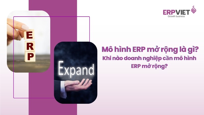 Mô hình ERP mở rộng là gì? Khi nào doanh nghiệp cần đến một mô hình ERP mở rộng?