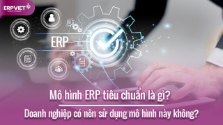 Mô hình ERP tiêu chuẩn là gì? Doanh nghiệp có nên sử dụng mô hình này không?
