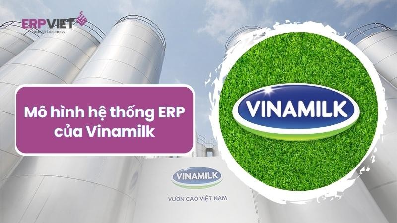 Mô hình hệ thống ERP của Vinamilk và câu chuyện bứt phá thành công