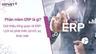Phần mềm ERP là gì? Giới thiệu tổng quan về ERP: Lịch sử phát triển, lợi ích, sự khác biệt