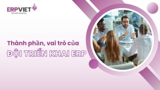 Thành phần, vai trò của đội triển khai ERP tại doanh nghiệp