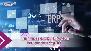 Thực trạng sử dụng ERP tại Việt Nam và bức tranh thị trường ERP