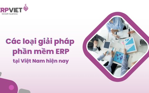 Các loại giải pháp phần mềm ERP tại Việt Nam hiện nay