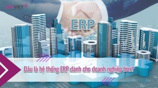 Đâu là hệ thống ERP dành cho doanh nghiệp lớn?