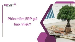 Phần mềm ERP giá bao nhiêu? Cập nhật bảng giá phần mềm ERP mới nhất