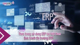 Thực trạng sử dụng ERP tại Việt Nam và bức tranh thị trường ERP