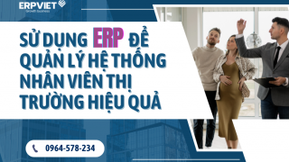 Sử Dụng ERP Để Quản Lý Hệ Thống Nhân Viên Thị Trường Hiệu Quả