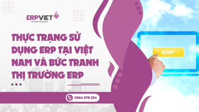 Thực trạng sử dụng ERP tại Việt Nam và bức tranh thị trường ERP