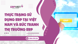Thực trạng sử dụng ERP tại Việt Nam và bức tranh thị trường ERP