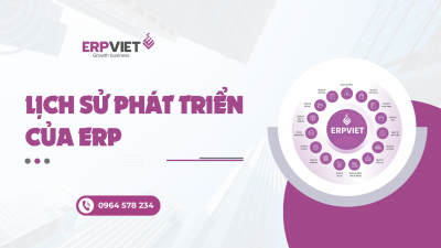 Lịch sử phát triển của ERP
