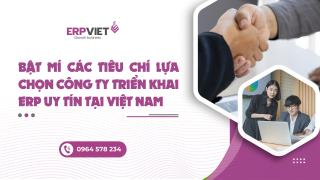 Bật mí các tiêu chí lựa chọn công ty triển khai ERP uy tín tại Việt Nam