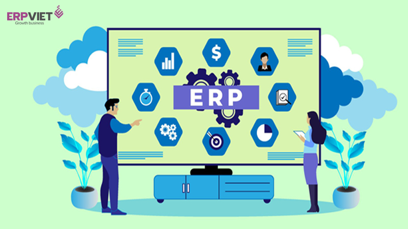 Các loại giải pháp phần mềm ERP