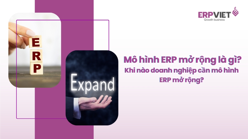 Mô hình ERP mở rộng là gì? Khi nào doanh nghiệp cần đến một mô hình ERP mở rộng?