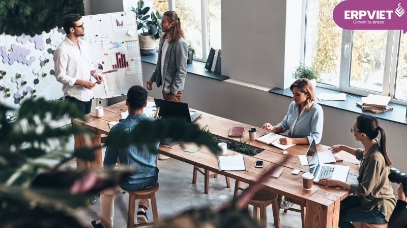 Nhóm nhân viên triển khai ERP làm gì?