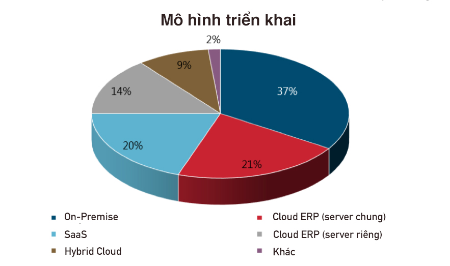 Báo cáo triển khai phần mềm quản lý doanh nghiệp ERP 2019 03